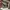 Uniqlo Gorpcore Futurist Track jacket Pria gray photo 7