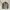 Uniqlo Gorpcore Futurist Track jacket Pria gray photo 2