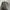 Uniqlo Gorpcore Futurist Track jacket Pria gray photo 8