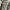 Uniqlo Gorpcore Futurist Track jacket Pria gray photo 5