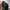 Uniqlo Gorpcore Futurist Track jacket Pria black photo 7