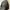 Uniqlo Gorpcore Futurist Track jacket Pria black photo 4