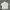 Kemeja lengan pendek cottonbell house second photo 1