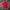 Adidas climalite sea game2018  photo 1