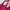  Gymshark Scoop Neck Sports Bra Dragon Pink photo 4