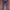 Japanese brand Y2k Livre daire hagi pants photo 6