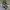 Converse Originals Chuck Taylor All Star Leather 132170C ( S photo 1