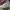 Converse Originals Chuck Taylor All Star Leather 132170C ( S photo 7