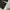 Henique black wide baggy unfinished jeans  photo 10