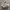 NIKE VAMERO 5 photo 3