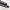 Adidas tracktop superstar original photo 6