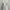 Cottagecore Coquette Summer dress Wanita white photo 3
