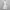 Cottagecore Coquette Summer dress Wanita white photo 2