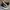 Converse Original CT 70s High Black Nobuck 169336C (Size 37) photo 3