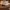 Luxury Avant Garde Heels Wanita tan cream photo 4