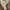 Luxury Avant Garde Heels Wanita tan cream photo 6