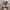 Asics photo 5