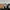 VANS Streetwear Casual Sneakers Pria white black photo 3