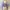 Crop long sleeve cardigan photo 1