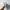 Nike Zoom Alphafly Next% 2  photo 4