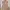 GU Uniqlo tiered dress sleeveless umpak babydoll tunik photo 2