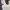 ZARA Coquette Casual Cami top Wanita gray photo 2