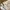 Coach Leatherware Womens Quilted Coat photo 8