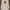 Coach Leatherware Womens Quilted Coat photo 1