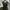 ✥FayeCorner✥ Y2K Black Shirt photo 3