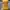 ✥FayeCorner✥ Y2K Vintage Yellow Shirt