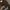 H&M Y2K Crop top Wanita tan brown photo 2