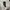 H&M Minimalist Casual Formal shirt Pria white photo 2