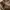 Sophie Martin Hobo Bag Leather Brown photo 8