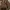 Sophie Martin Hobo Bag Leather Brown photo 7