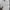AVIREX short cargo pants photo 8