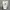 AVIREX short cargo pants photo 3