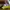 Nike daybreak X undercover jun takahashi bright citron photo 5