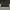 Leather Jacket Cosse Shiny Sparkling Reptil skin texture photo 5