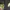 BALTIMORE RAVENS ED REED NFL JERSEY photo 5