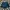 Jeans pendek photo 1