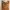 Brown Draped One Shoulder Midi Dress Grecian Style photo 3