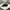 Timberland Casual Sneakers Pria Multicolor Navy