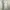 White Flowy Spaghetti Strap Maxi Dress photo 2