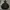 Russell Athletic Streetwear Y2K Hoody Pria black photo 1