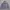 HOODIE MLB LOS ANGELES ORIGINAL 100% photo 1