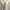Cream Vintage Floral Slip Midi Dress photo 5