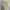 Cream Vintage Floral Slip Midi Dress photo 3