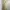 Cream Vintage Floral Slip Midi Dress photo 2