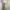 Cream Vintage Floral Slip Midi Dress photo 4