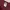 RUSSELL ATHLETICS Maroon FOOTBALL Practice Jersey
